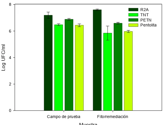 Fig. 9 Recuento de bacterias aerobias inicial de dos suelos contaminados en diferentes medios