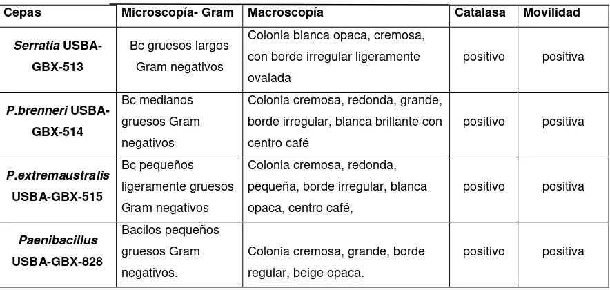 Tabla 3. Características generales de las cepas seleccionadas. 