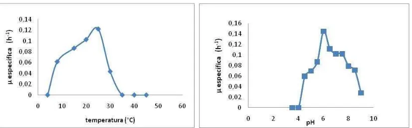 Figura 1. Determinación de la temperatura óptima de crecimiento de Serratia USBA-GBX-513