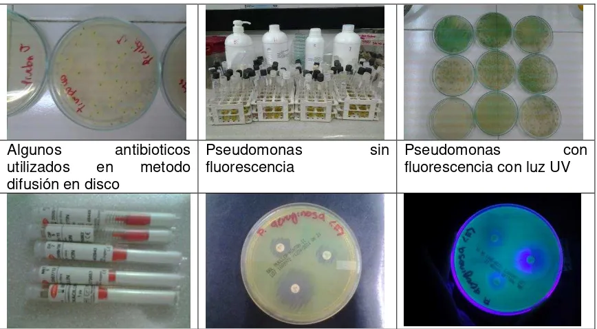 Tabla 3. Perfiles de resistencia 