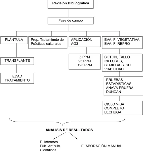 FIGURA 1.  DIAGRAMA DE PROCEDIMIENTOS 