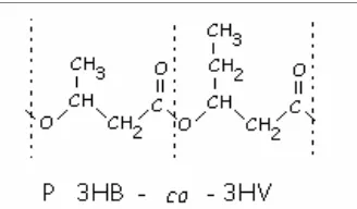 Figura 1. Estructura del copolímero de poli-3- hidroxibutirato-co-3-hidroxivalerato 