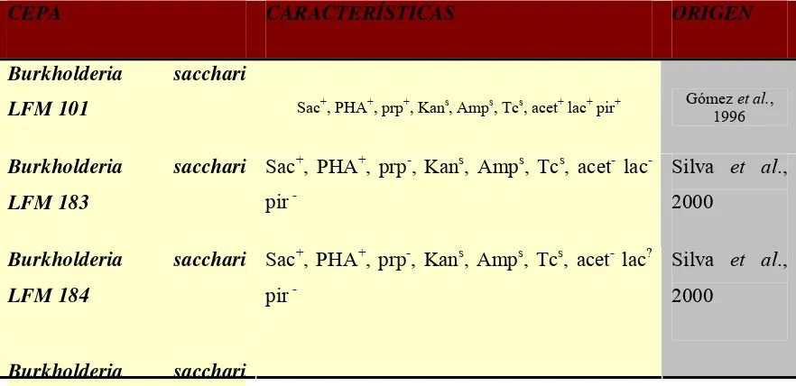 Tabla 1. Cepas bacterianas y plásmidos (vectores de clonage) empleados. 