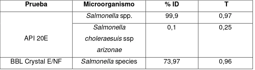 Figura 5. Cepa aislada de Salmonella spp: a. XLD b. Hecktoen c. Sulfito Bismuto 