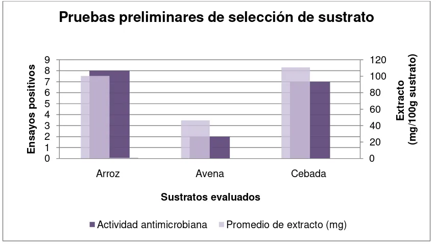 Figura 3. Pruebas preliminares de selección de sustrato. Fuente: Elaboración propia  