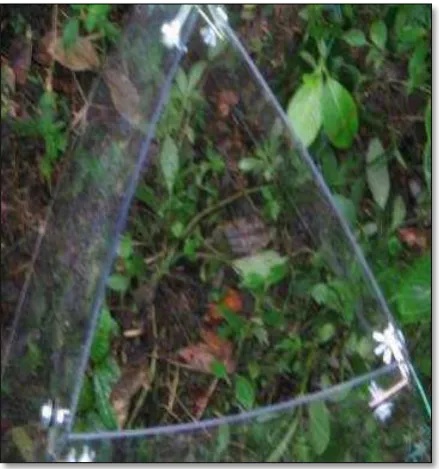 Figura 1. Pirámides truncadas de policarbonato  utilizada para elevar la temperatura del 