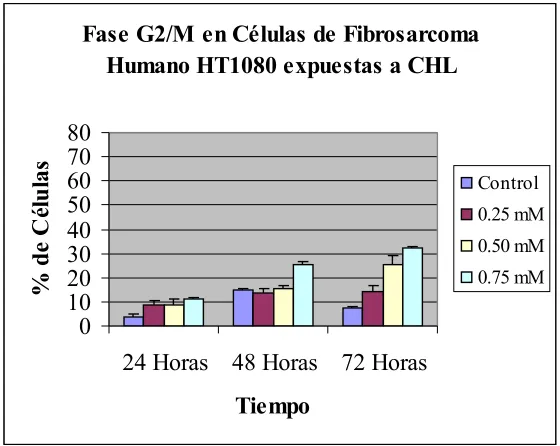 Figura 7. Efecto del CHL sobre el ciclo celular de células de fibrosarcoma humano 