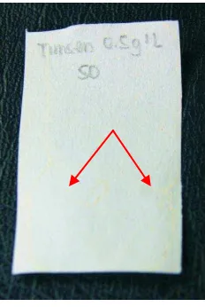 Figura 3.  Captura fotográfica detallada para muestra de papel manual impregnado con A) Timsen 0.5g/L y B) Wescosan 0.3% después de 25 años de envejecimiento