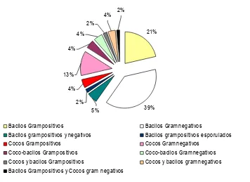 Figura 8. Porcentaje de los grupos bacterianos obtenidos de las muestras de suelo y hojarasca en las fincas muestreadas