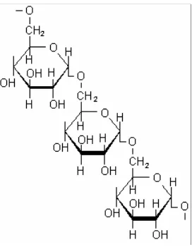 Fig 1. Estructura del dextrano.   