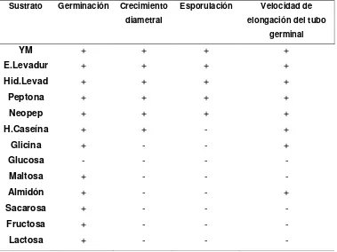 Tabla 4. Efecto inductor de las diferentes fuentes de carbono y nitrógeno sobre la  germinación, el crecimiento y la esporulación N