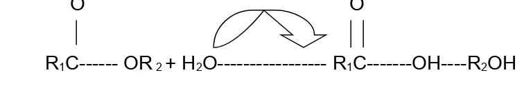 Figura 1. Mecanismos de acción de las lipasas (Arpigny y Jaeger, 2000).