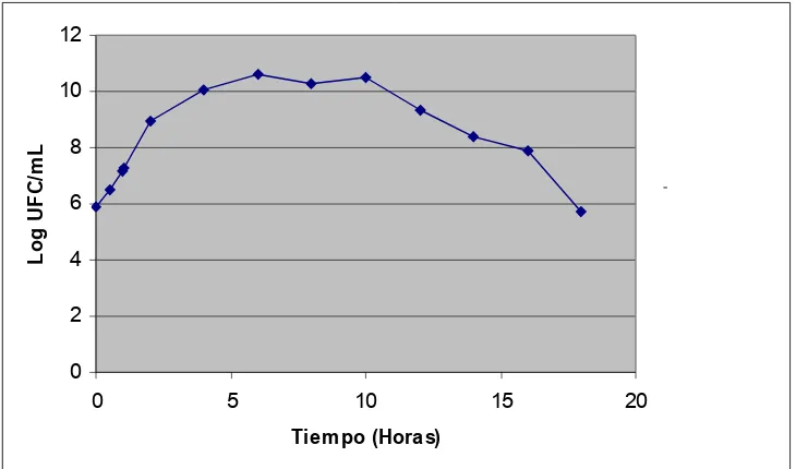 Figura 6. Curva Producción de biomasa en función del tiempoCepa L3.