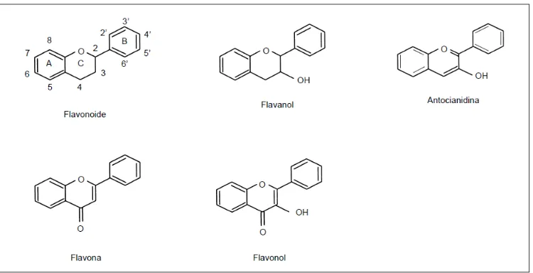 Figura 1. Estructura básica de los flavonoides. (Martínez-Flórez y colaboradores, 2002) 