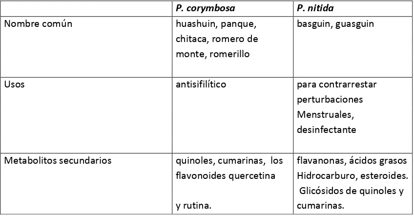 Tabla 2.  Generlidades de P. corymbosa y  P. nítida. (Díaz-Piedrahita & Cuatrecasas, 1999, Pedrozo, et al