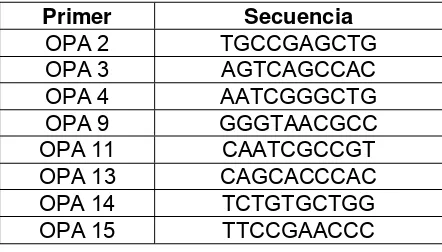 Tabla 1: Cebadores seleccionados par la caracterización molecular de los 40 aislamientos de Fusarium spp