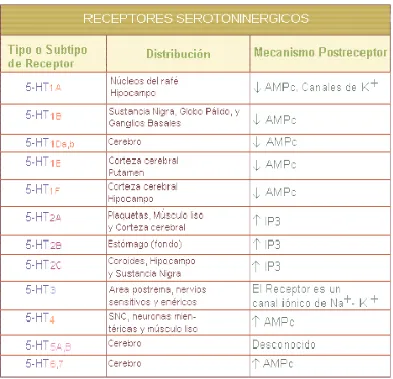 Fig 7. Resumen receptores serotoninegicos (Baker et al2001). 