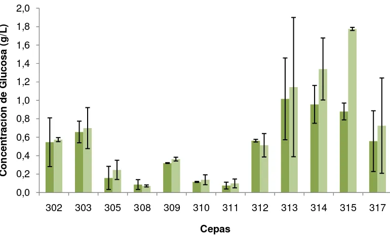 Figura 4. Concentración de glucosa liberada a través del tiempo de incubación en caldo almidón de las cepas provenientes de plantas