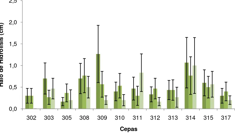 Figura 8. Halos de Hidrólisis a través del tiempo de incubación en agar carboximetilcelulosa al 1%/(p/v) de las cepas provenientes de plantas