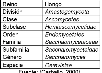 Tabla 3. Clasificación Taxonómica de Saccharomyces cerevisiae.  