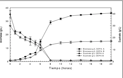 Figura 9. Biomasa y Sustrato residual en función del tiempo. Curva control en  caldo YPG con adición de ampicilina (300mg/L)