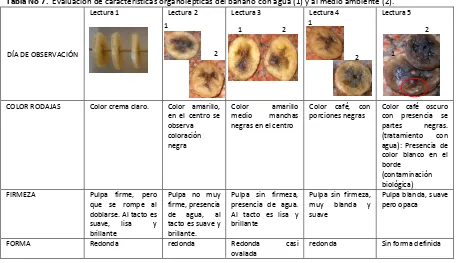 Tabla No 7.  Evaluación de características organolépticas del banano con agua (1) y al medio ambiente (2)
