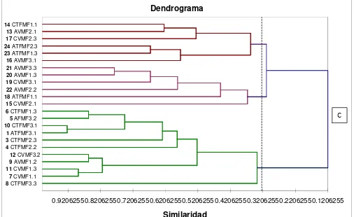 Figuras Ay B: Perfiles de DGGE a partir del fragmento de ADNr16S amplificado por PCR para comunidades bacterianas de los suelos muestreados