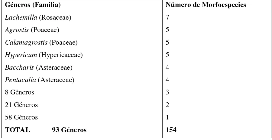 Figura 3. Número de morfoespecies por cada género identificado del Páramo de PNN Cocuy  