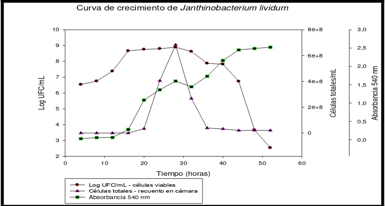 Figura 6.4.3 Porcentaje de Inhibición Micelial en los ensayos de enfrentamiento dual. Los 