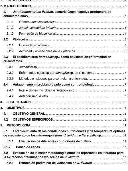TABLA DE CONTENIDO 