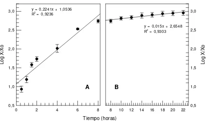 Figura 6. Fases de crecimiento de Escherichia coli ATCC 25922. (A) Fase de crecimiento exponencial y (B) Fase de desaceleración 