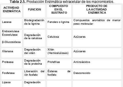 Tabla 2.5. Producción Enzimática extracelular de los macromicetos.