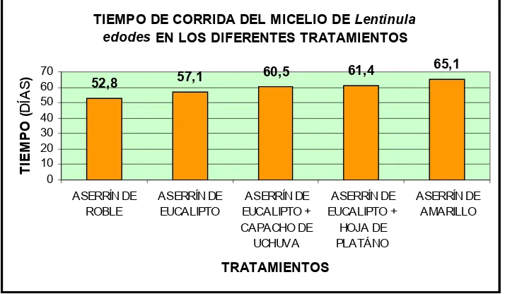Figura 7.5. Tiempo promedio de corrida del micelio de Lentinula edodes en los diferentes tratamientos.