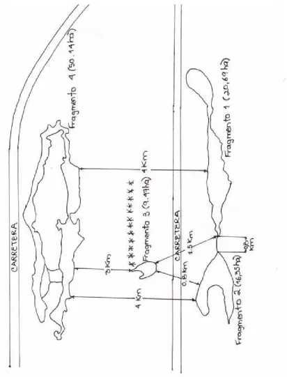 Figura 2. Diagrama de ubicación y distancias de los fragmentos de bosque estudiados. 