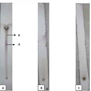 Tabla No7 . Rf de las diferentes fracciones evaluadas: Éter de petróleo, Diclorometano y Acetato de etilo de las CCD reveladas con vainillina en acido sulfúrico concentrado