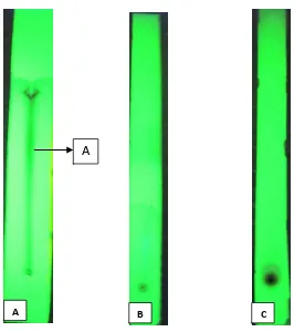 Tabla No9. Rf de las diferentes fracciones evaluadas: Éter de petróleo, Diclorometano y Acetato de etilo de las CCD reveladas con Luz UV longitud de onda larga 366nm