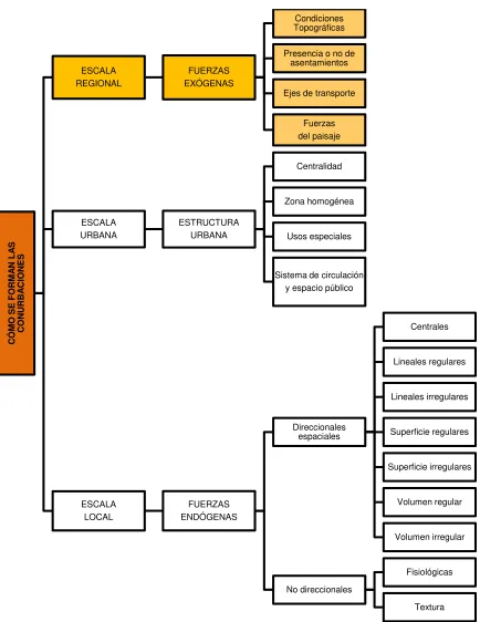 Figura 3.  Esquema general ¿Cómo se forman las conurbaciones? 