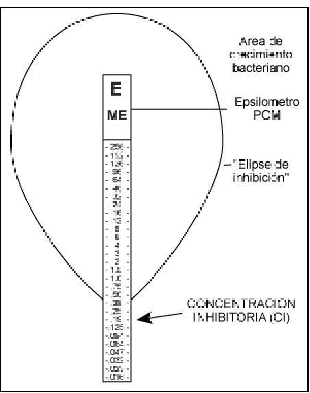 Figura 3. Prueba de E-TEST (Coyle, 2000). 