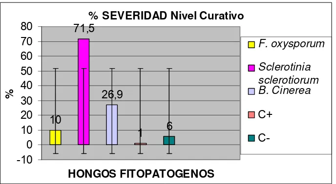 FIG. 12. Porcentaje de Severidad de la enfermedad causada por hongos con aplicación de extracto 