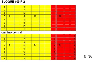 FIGURA 6. Diagrama ubicación de tratamientos bloque 109 