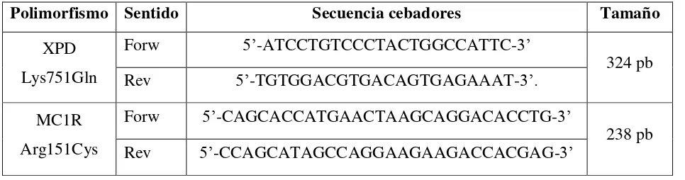 Tabla 1. Secuencias de los oligos que se usaron como cebadores 