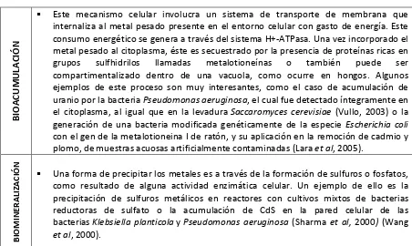 Tabla 8. Tratamientos propuestos para la biodegradación de metales pesados presentes en RAEE