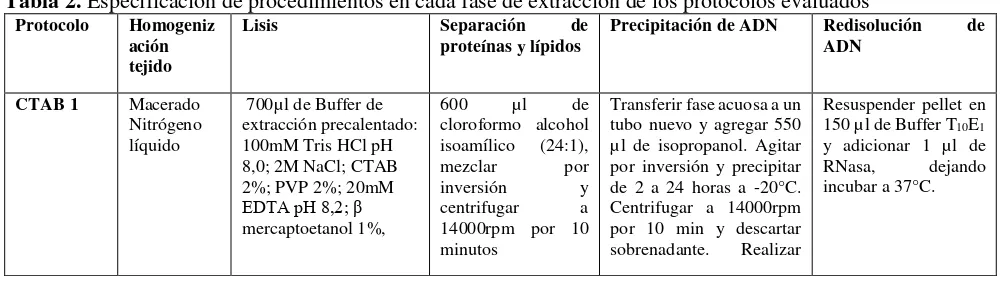 Tabla 2. Especificación de procedimientos en cada fase de extracción de los protocolos evaluados  