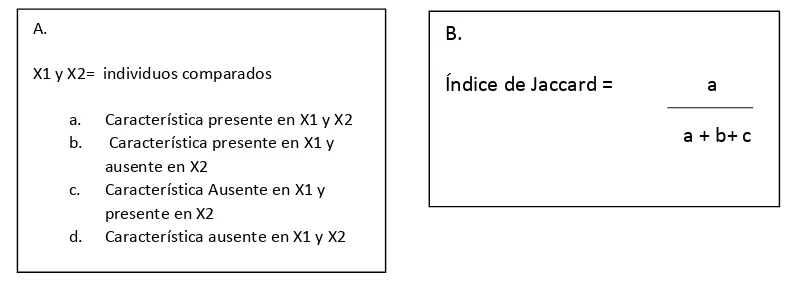 Figura 2. A) Combinaciones para condiciones de presencia y ausencia de una característica con dos muestras 