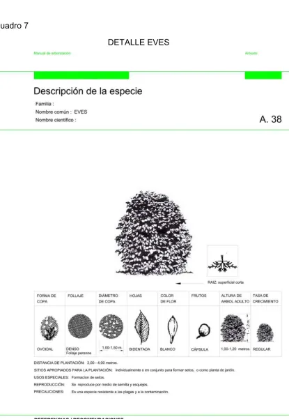 Cuadro 7 DETALLE EVES 