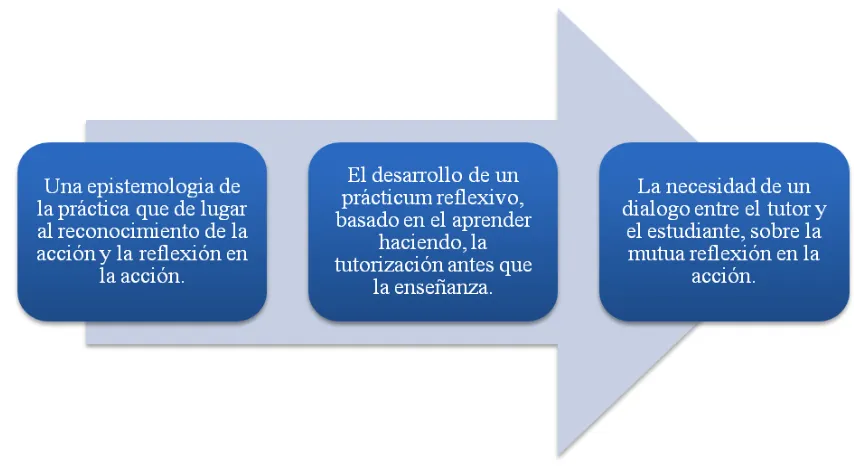 Figura. 10. Propuesta de Schön. 