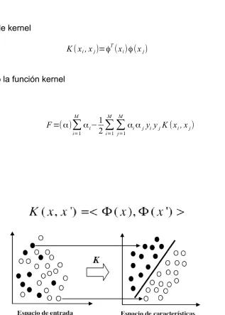 Figura 8. transformación del espacio de entrada a un espacio de características por medio de un kernel.