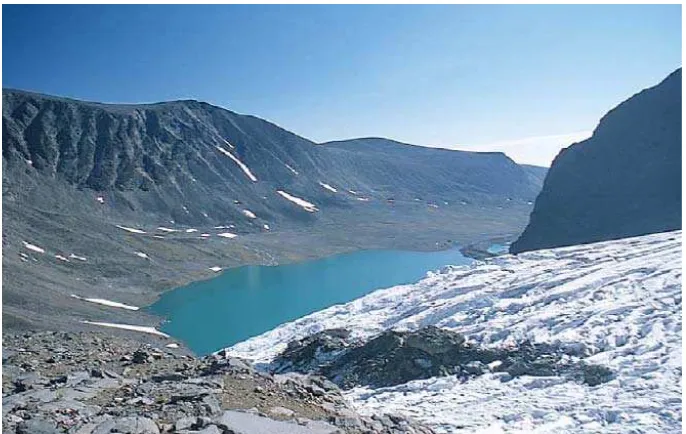 Figura 59 Morrena terminal en el glaciar Isfallsglaciären al norte de Suecia. El fondo y  las partes bajas de las laderas del valle en forma de U están cubiertas por detritos 
