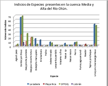 Figura 12. Indicios de presencia de especies presentes en la zona de trabajo  