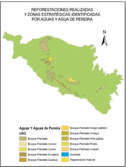 Figura 13. Usos del Suelo. Reforestaciones realizadas por Aguas y Aguas de Pereira. 